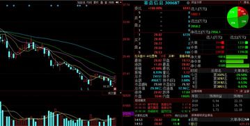 金股預(yù)測晚間版 軟件開發(fā)及維護領(lǐng)域聚焦，正平股份等3股后市上漲概率超70%