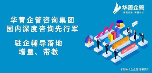 卓越跨境電商企業(yè)的戰(zhàn)略導航者——頂尖咨詢管理機構(gòu)全解析